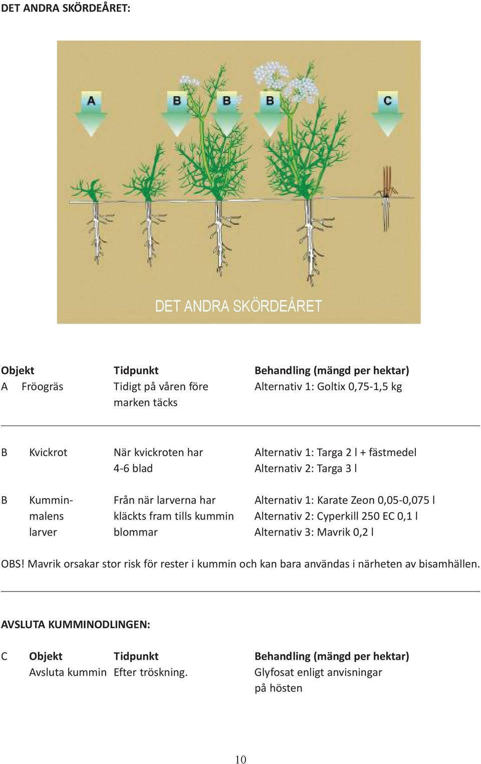 malens kläckts fram tills kummin Alternativ 2: Cyperkill 250 EC 0,1 l larver blommar Alternativ 3: Mavrik 0,2 l OBS!