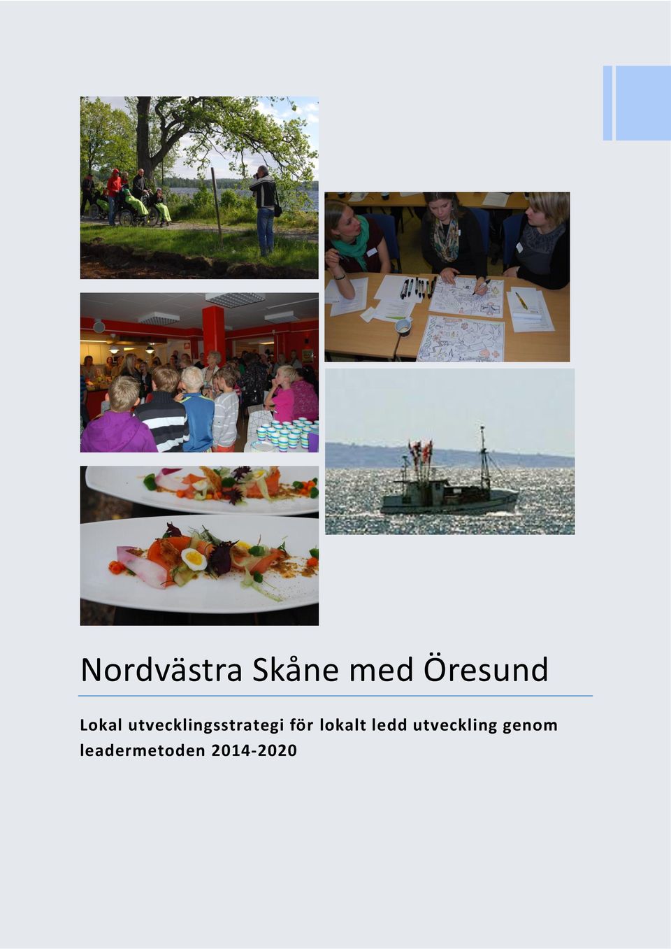 utvecklingsstrategi för