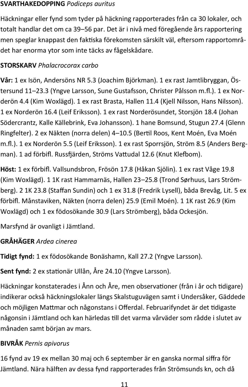 STORSKARV Phalacrocorax carbo Vår: 1 ex Isön, Andersöns NR 5.3 (Joachim Björkman). 1 ex rast Jamtlibryggan, Östersund 11 23.3 (Yngve Larsson, Sune Gustafsson, Christer Pålsson m.fl.). 1 ex Norderön 4.
