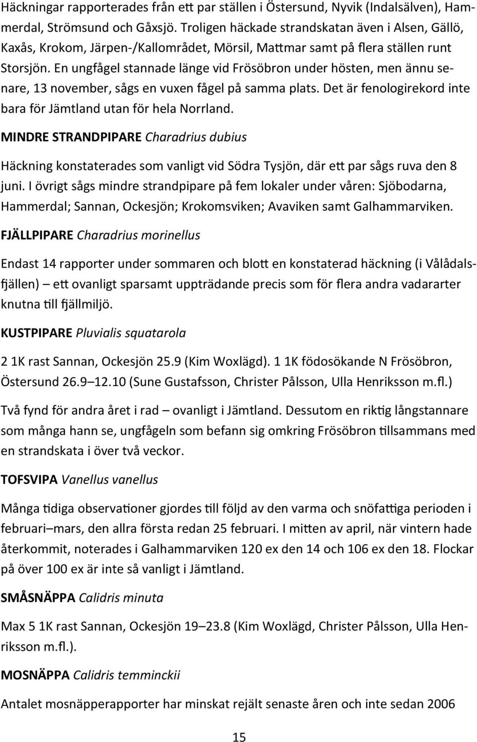 En ungfågel stannade länge vid Frösöbron under hösten, men ännu senare, 13 november, sågs en vuxen fågel på samma plats. Det är fenologirekord inte bara för Jämtland utan för hela Norrland.