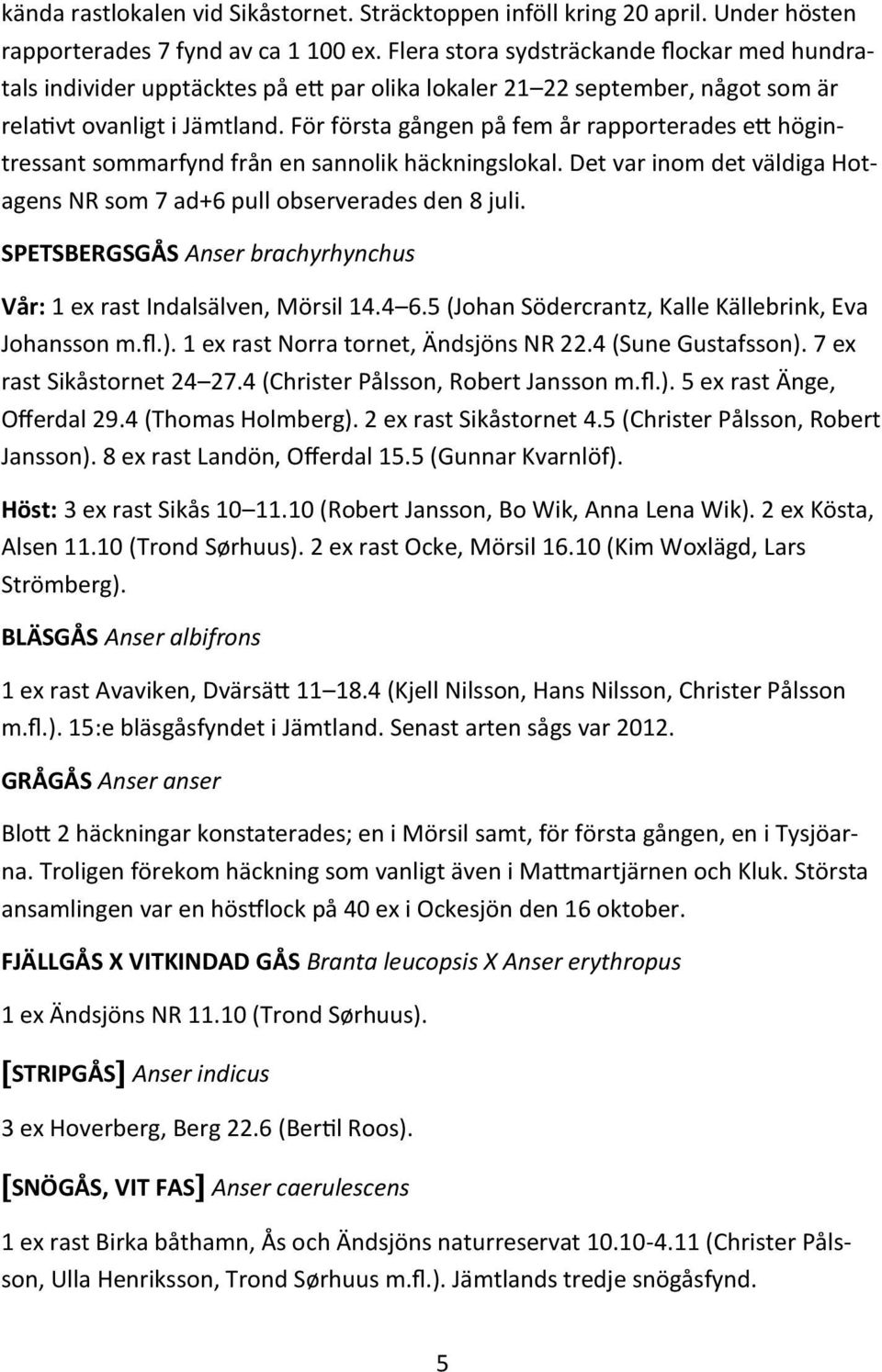 För första gången på fem år rapporterades ett högintressant sommarfynd från en sannolik häckningslokal. Det var inom det väldiga Hotagens NR som 7 ad+6 pull observerades den 8 juli.