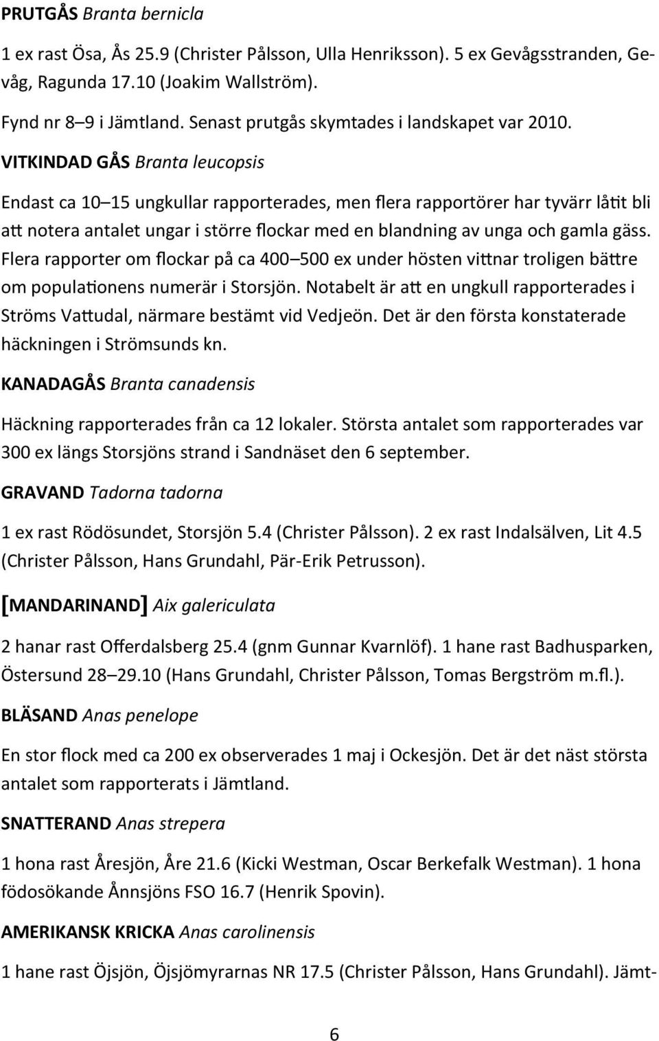 VITKINDAD GÅS Branta leucopsis Endast ca 10 15 ungkullar rapporterades, men flera rapportörer har tyvärr låtit bli att notera antalet ungar i större flockar med en blandning av unga och gamla gäss.