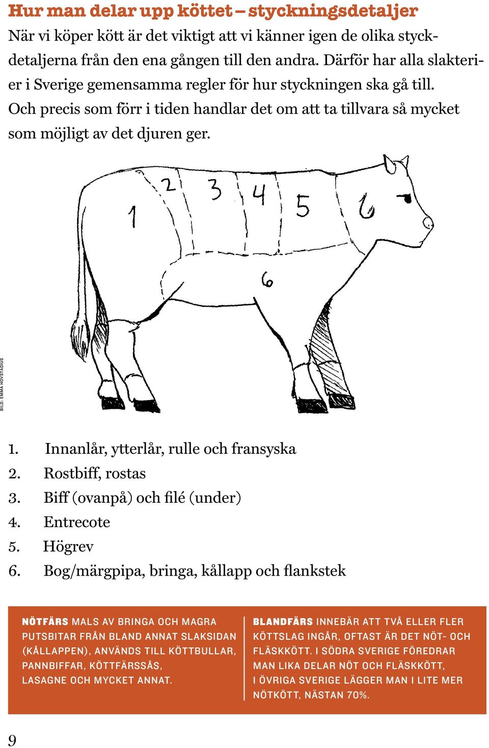 BILD: EMMA HOVSTADIUS 1. Innanlår, ytterlår, rulle och fransyska 2. Rostbiff, rostas 3. Biff (ovanpå) och filé (under) 4. Entrecote 5. Högrev 6.
