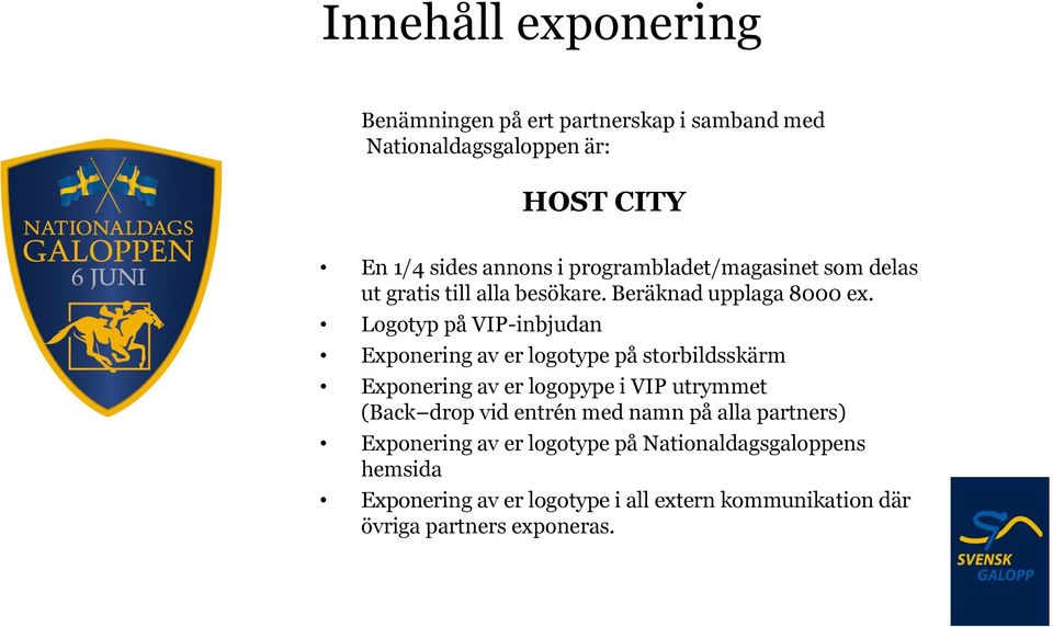 Logotyp på VIP-inbjudan Exponering av er logotype på storbildsskärm Exponering av er logopype i VIP utrymmet (Back drop vid