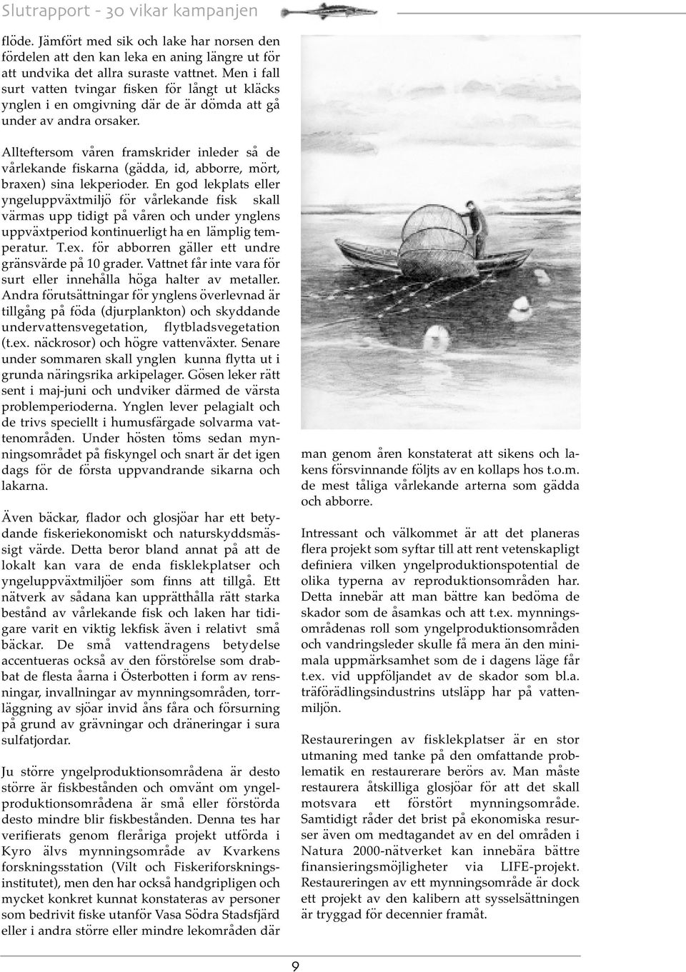 Allteftersom våren framskrider inleder så de vårlekande fiskarna (gädda, id, abborre, mört, braxen) sina lekperioder.