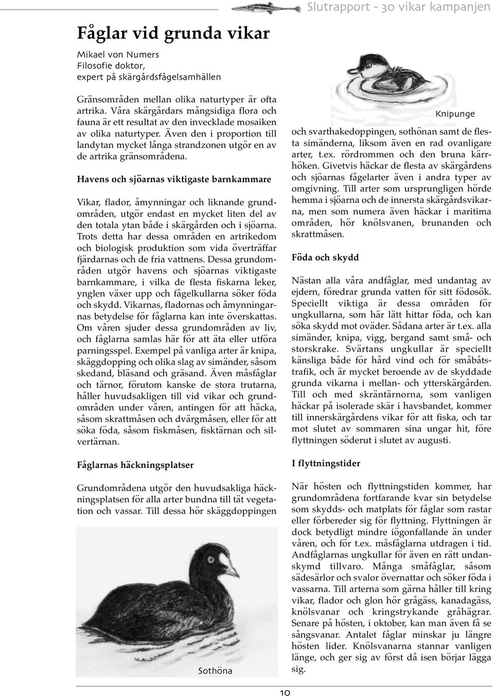 Även den i proportion till landytan mycket långa strandzonen utgör en av de artrika gränsområdena.