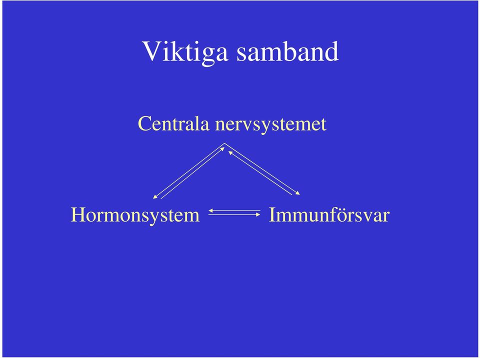 nervsystemet