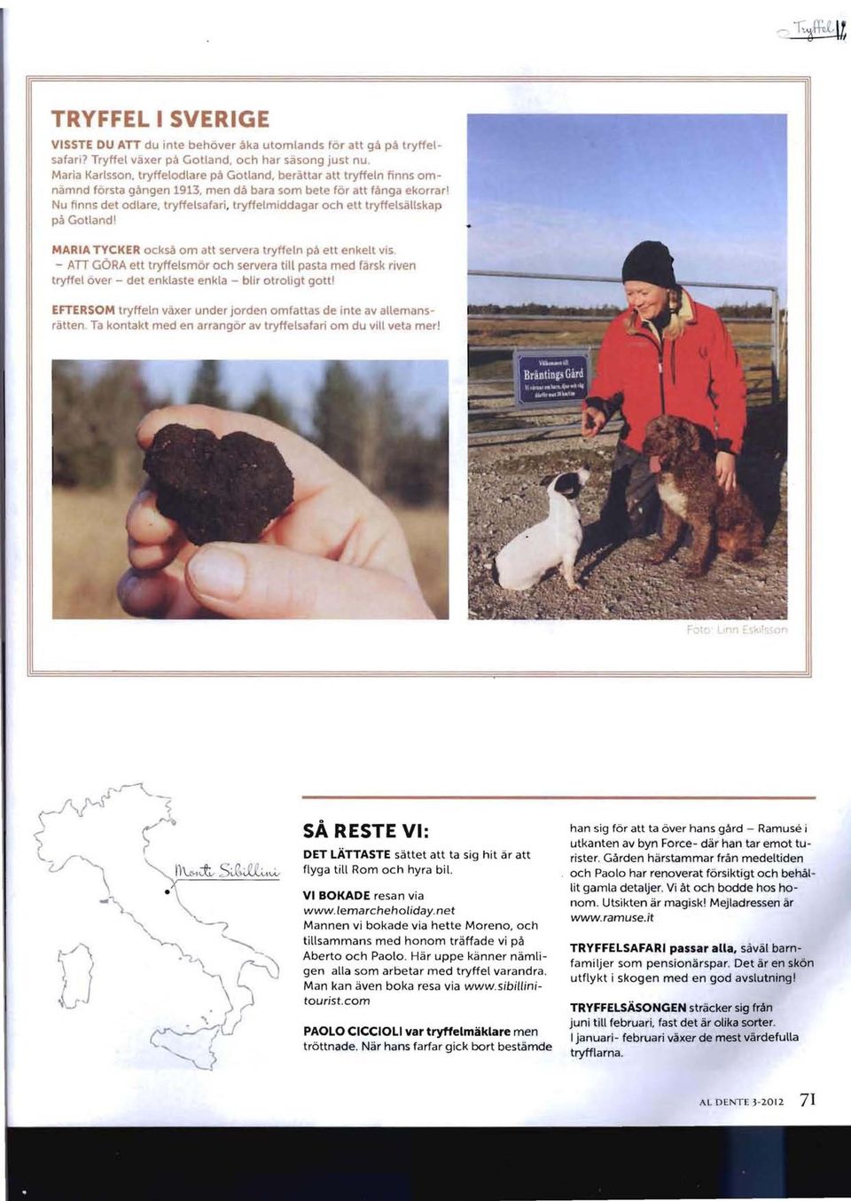 Nu finns det odiare, tryffelsafari, tryffelmlddagar och ett tryffelsallskap pa Gotland!