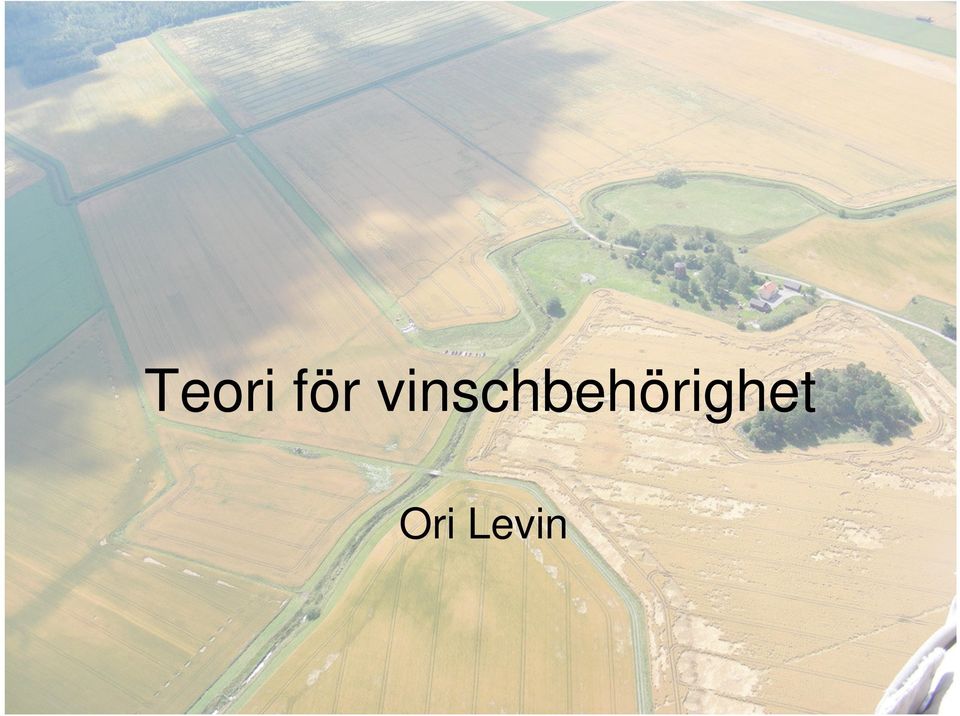 Ori Levin