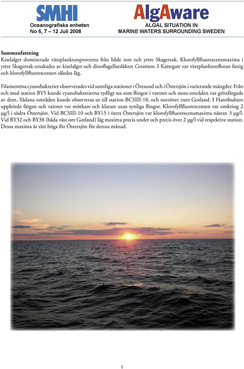 Filamentösa cyanobakterier observerades vid samtliga stationer i Öresund och i Östersjön i varierande mängder.