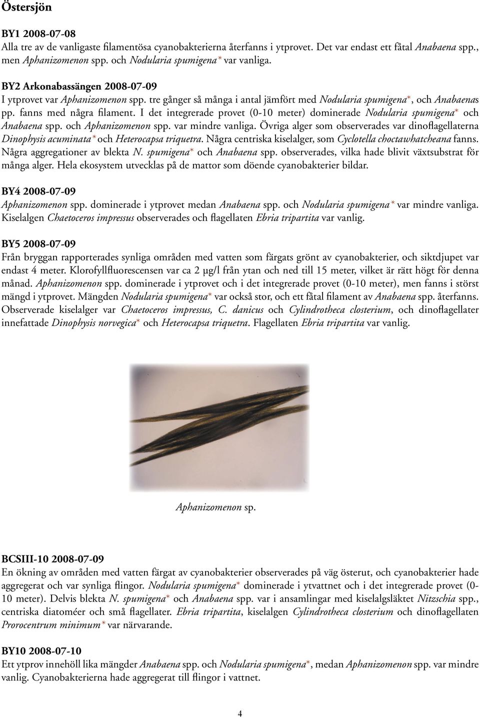 fanns med några filament. I det integrerade provet (0-10 meter) dominerade Nodularia spumigena* och Anabaena spp. och Aphanizomenon spp. var mindre vanliga.