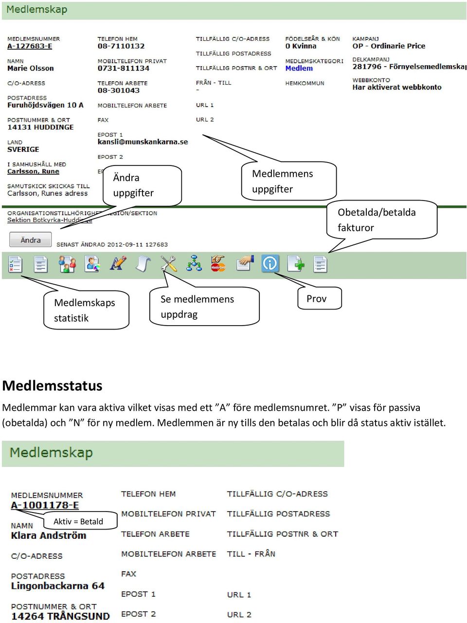 vilket visas med ett A före medlemsnumret.