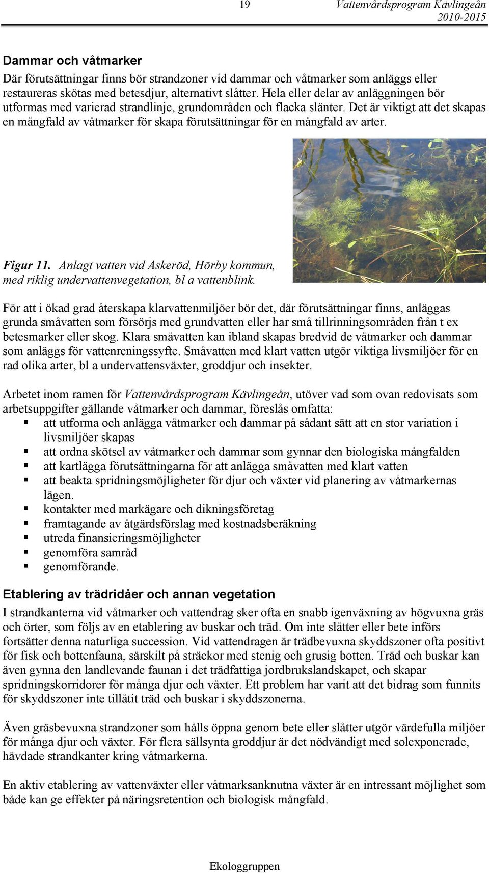 Det är viktigt att det skapas en mångfald av våtmarker för skapa förutsättningar för en mångfald av arter. Figur 11.