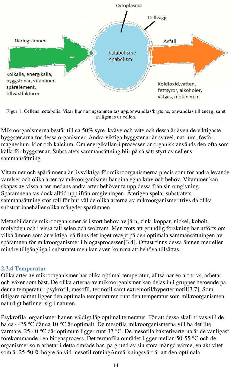 Andra viktiga byggstenar är svavel, natrium, fosfor, magnesium, klor och kalcium. Om energikällan i processen är organisk används den ofta som källa för byggstenar.