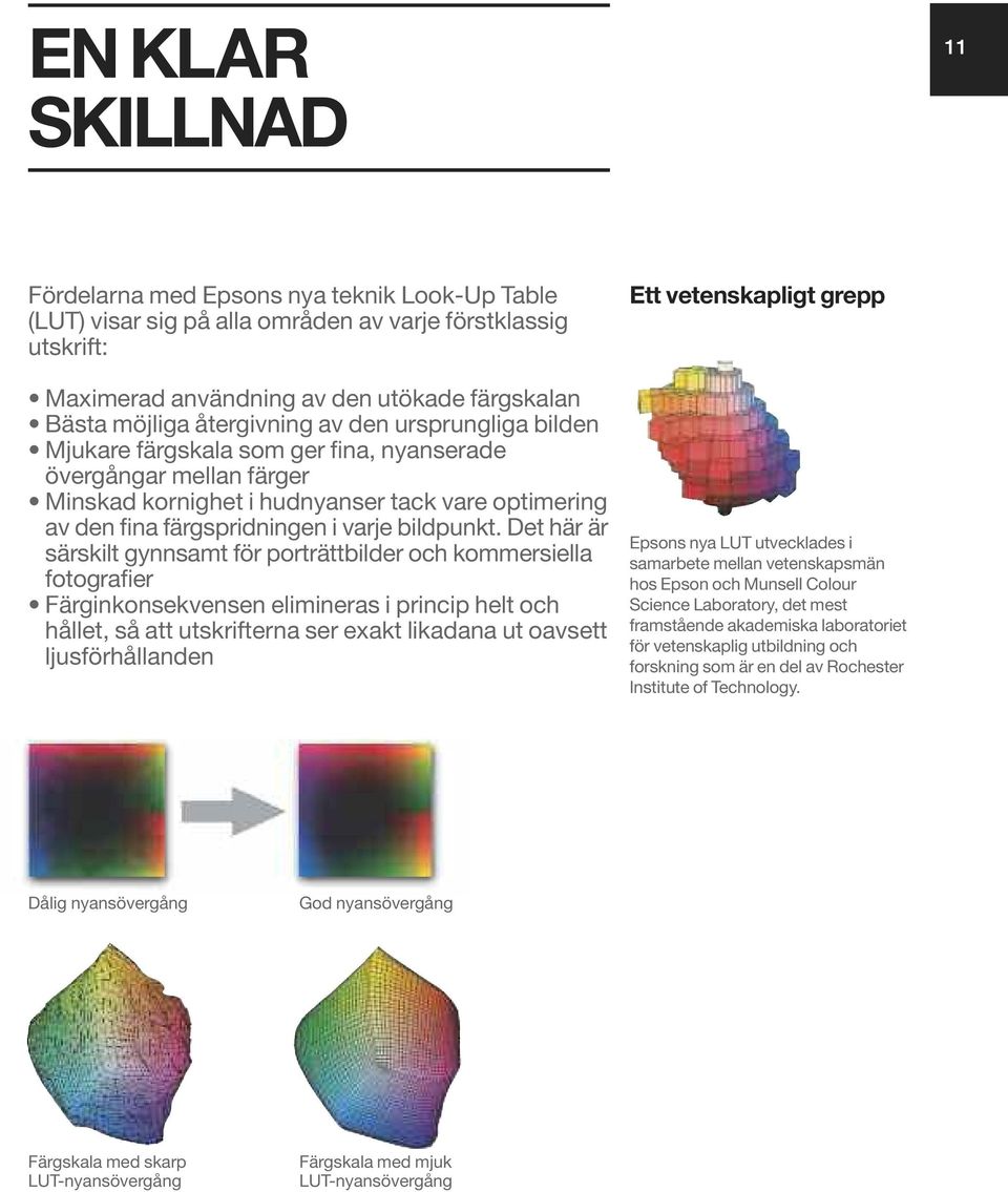 bildpunkt.
