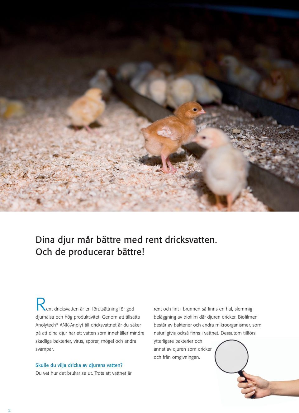 svampar. Skulle du vilja dricka av djurens vatten? Du vet hur det brukar se ut.