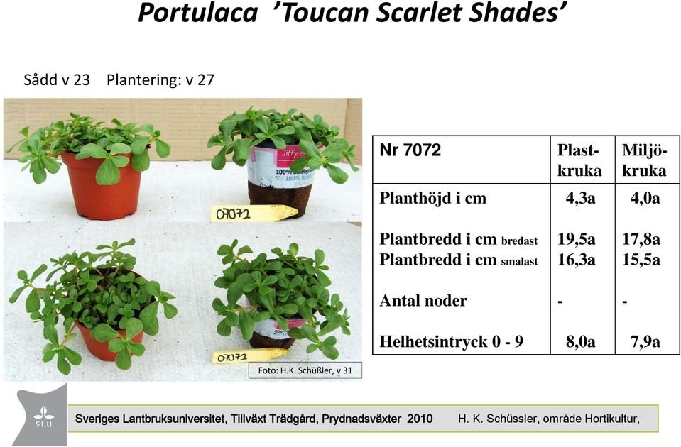 Plastkruka 4,3a Miljökruka 4,0a 17,8a 15,5a - Helhetsintryck 0-9 8,0a 7,9a Foto: