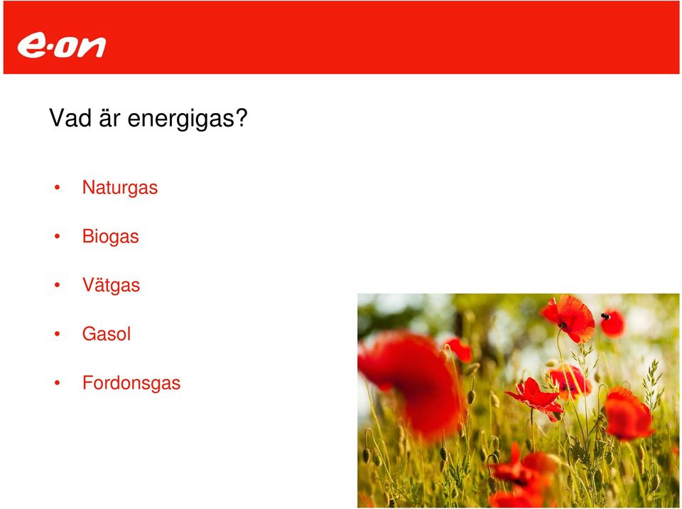 Naturgas