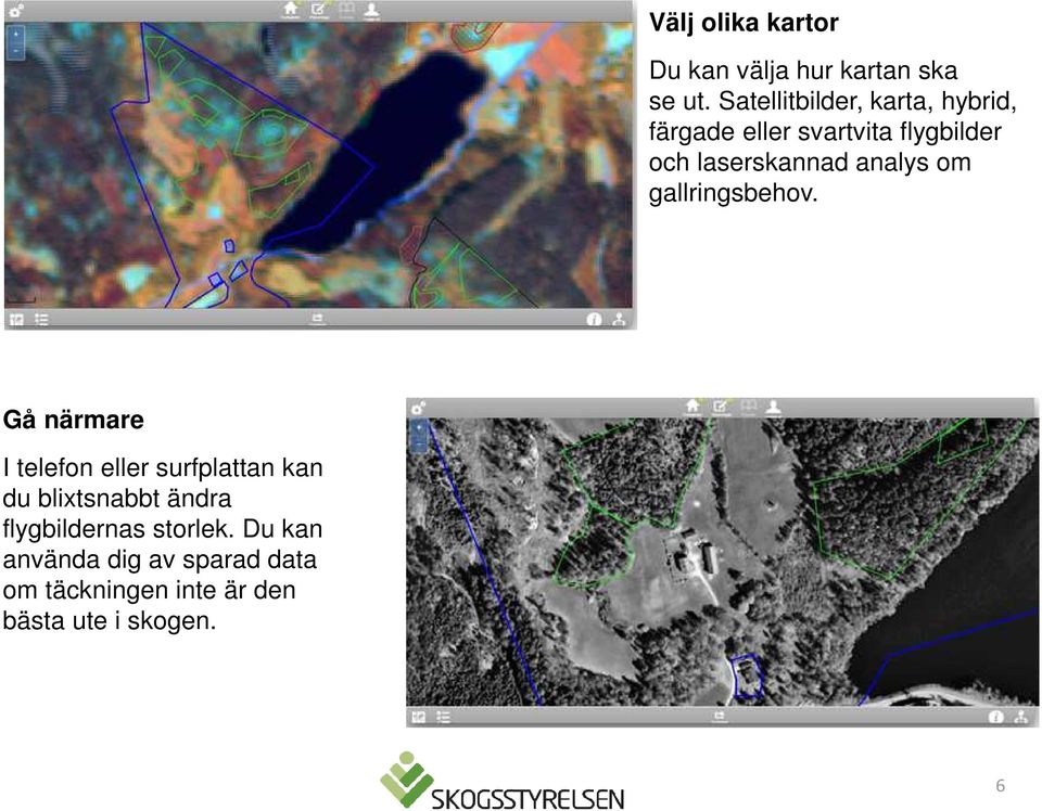 analys om gallringsbehov.