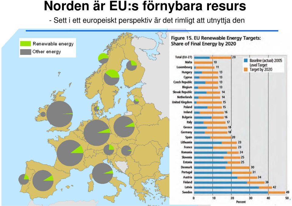 europeiskt perspektiv är