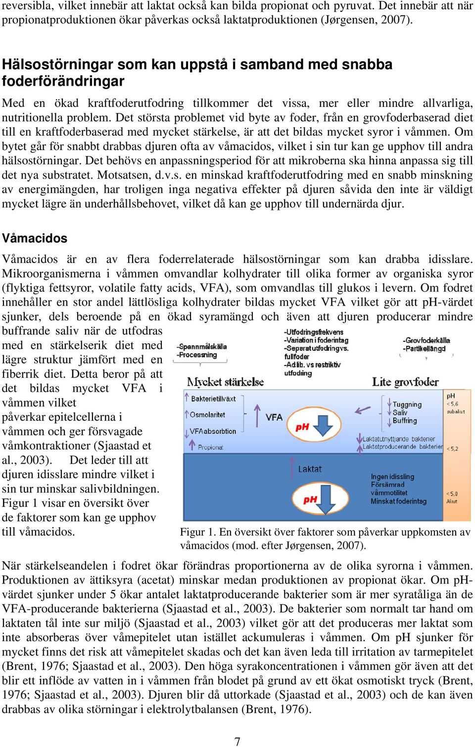 Det största problemet vid byte av foder, från en grovfoderbaserad diet till en kraftfoderbaserad med mycket stärkelse, är att det bildas mycket syror i våmmen.