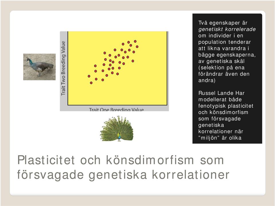 Russel Lande Har modellerat både fenotypisk plasticitet och könsdimorfism som försvagade