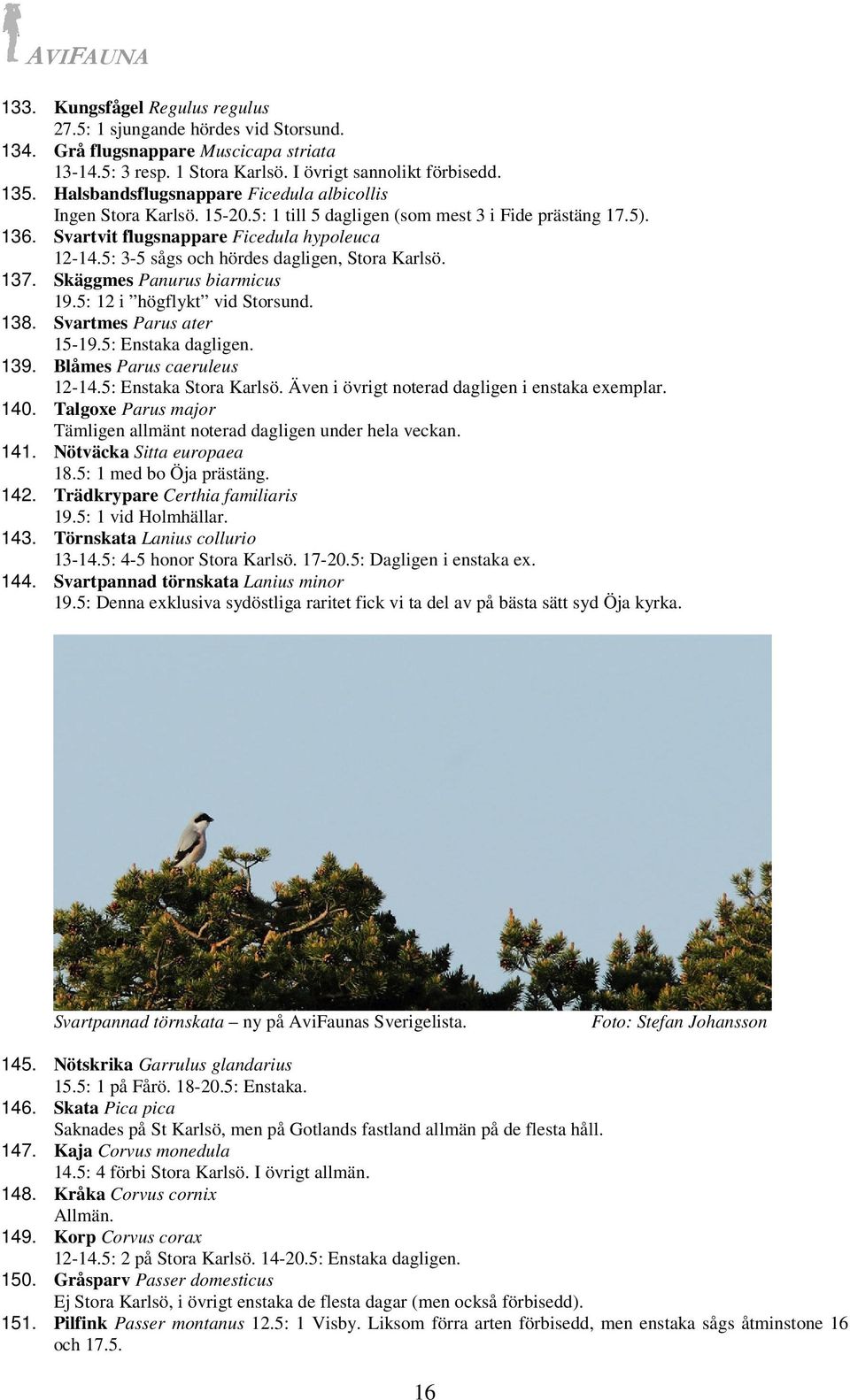 5: 3-5 sågs och hördes dagligen, Stora Karlsö. 137. Skäggmes Panurus biarmicus 19.5: 12 i högflykt vid Storsund. 138. Svartmes Parus ater 15-19.5: Enstaka dagligen. 139. Blåmes Parus caeruleus 12-14.