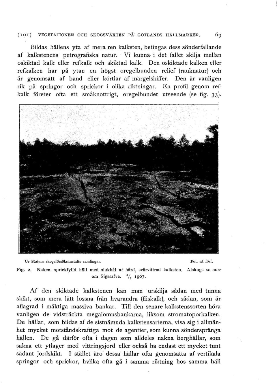 Den oskiktade kalken eller refkalken har på ytan en högst oregelbunden relief (rauknatur) och är genomsatt af band eller körtlar af märgelskiffer.