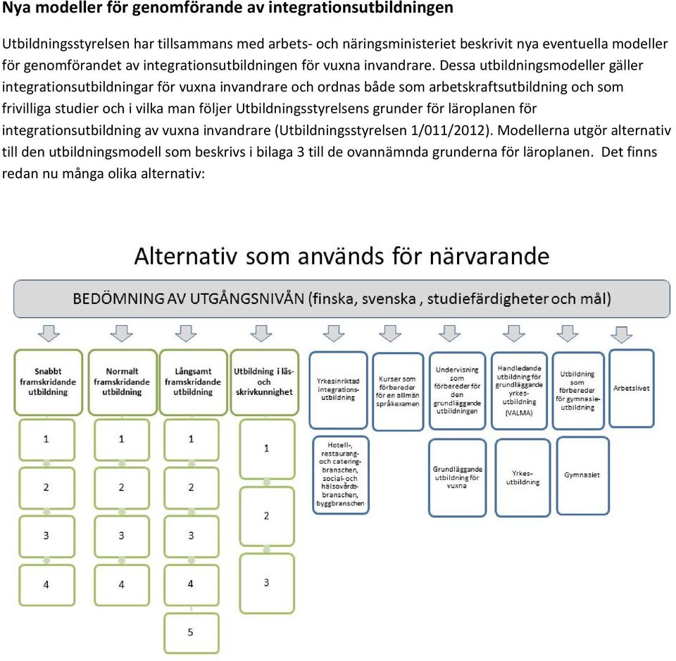 Dessa utbildningsmodeller gäller integrationsutbildningar för vuxna invandrare och ordnas både som arbetskraftsutbildning och som frivilliga studier och i vilka man följer