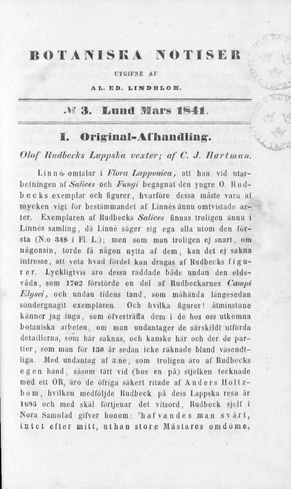 Linnés ännu omtvistade arae ter. Exemplaren af Rudbecks Salices finnas troligen ännu i Linnes samling, da Linné säger sig ega alla utom den törsta (IN.o 348 i Fl.