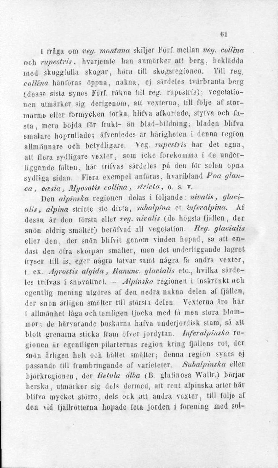 rupestris); vegetationen utmärker sig derigenom, att vexterna, till följe af stormarrae eller fönnycken torka, blifva afkorlade, styfva och fasta, mera böjda för frukt- fin blad-bildning; bladen
