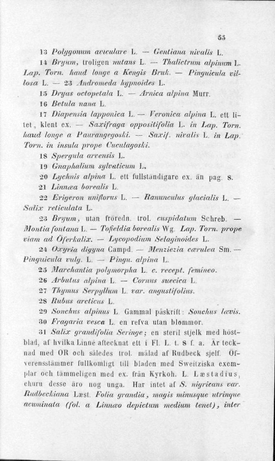 Saxif nivalis L. in Lap Torn, in insula props Curulagoski. 18 Spergula arrensis L. 19 Qnaphalium sytvaticum L, 20 Lychnis alpina L. ett fullständigare ex. än pag. 8. 21 Linntea borealis L.