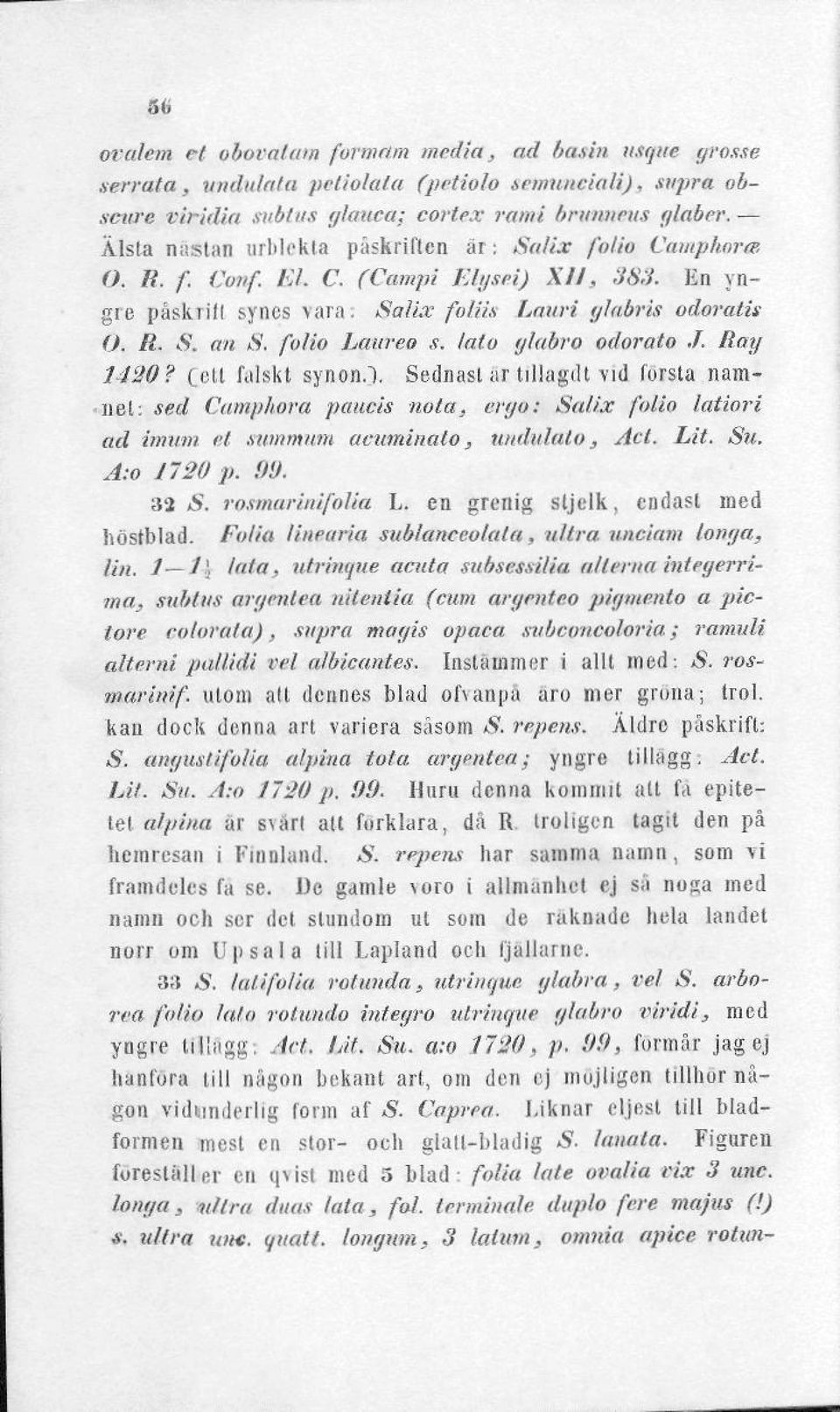 lat o ylabro odorato J. Ray 1420? (ell falskt synon.l Sednaslar tillagdt vid första nam- nel: sed Camphora paucis nota, ergo; Salix folio latiori ad imum et summiim acuminata, undulato, Act. Lit. Su.