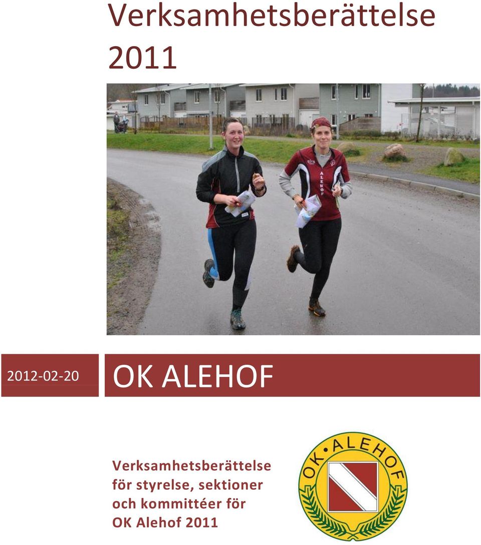 Verksamhetsberättelse för
