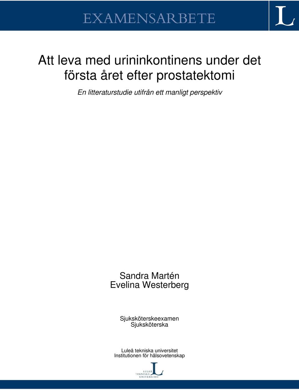 perspektiv Sandra Martén Evelina Westerberg Sjuksköterskeexamen