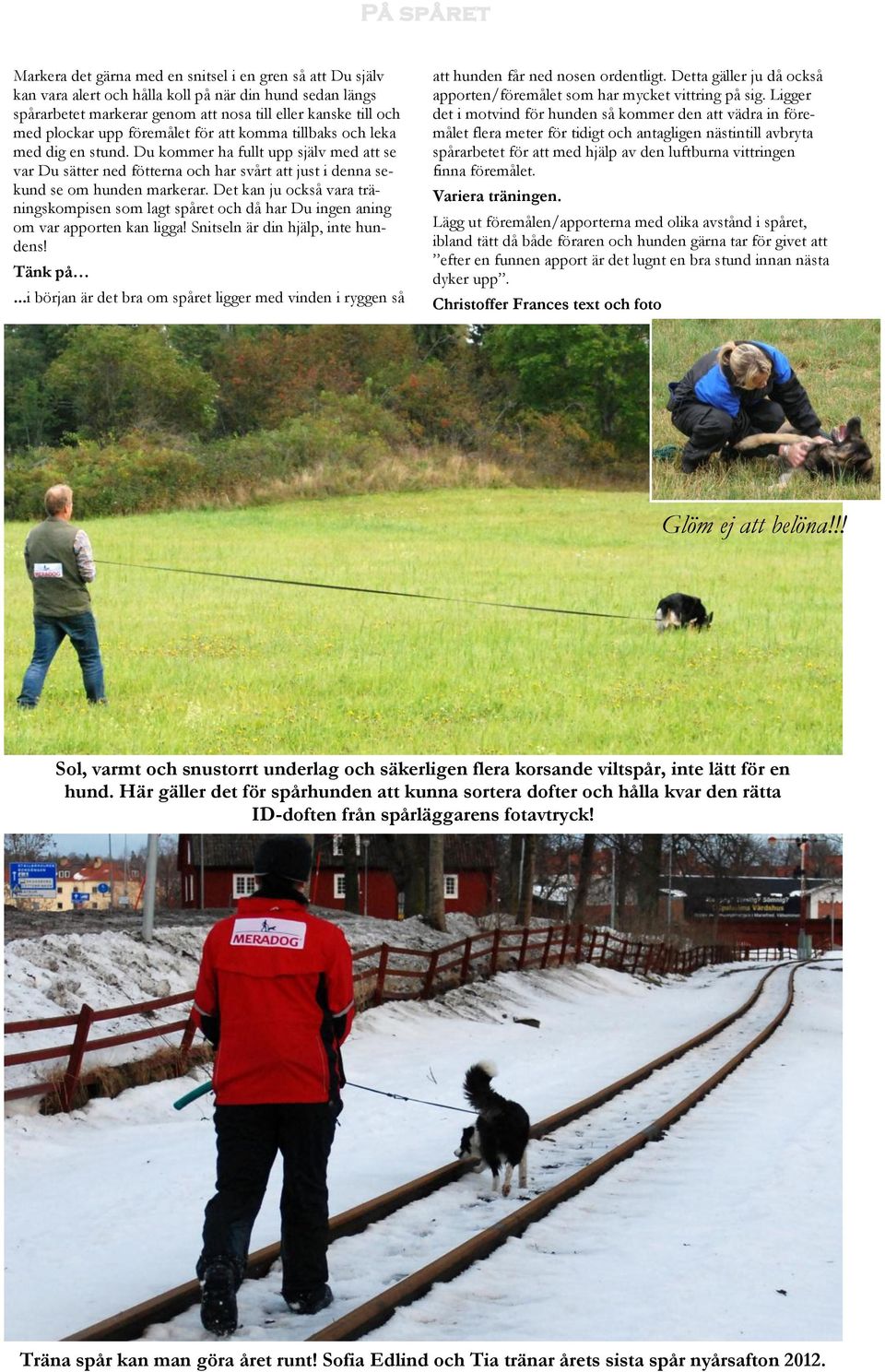 Det kan ju också vara träningskompisen som lagt spåret och då har Du ingen aning om var apporten kan ligga! Snitseln är din hjälp, inte hundens! Tänk på.