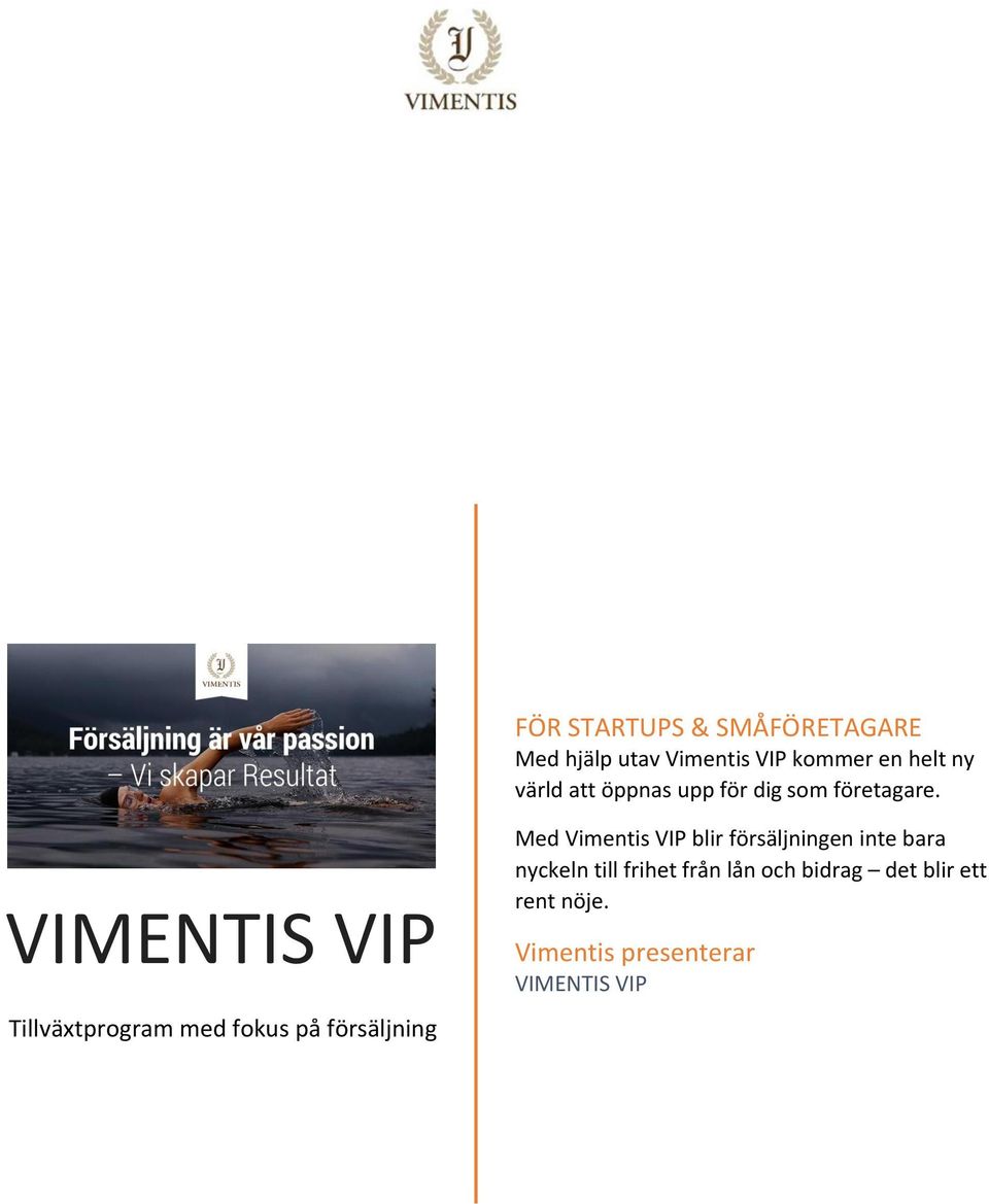 VIMENTIS VIP Tillväxtprogram med fokus på försäljning Med Vimentis VIP blir