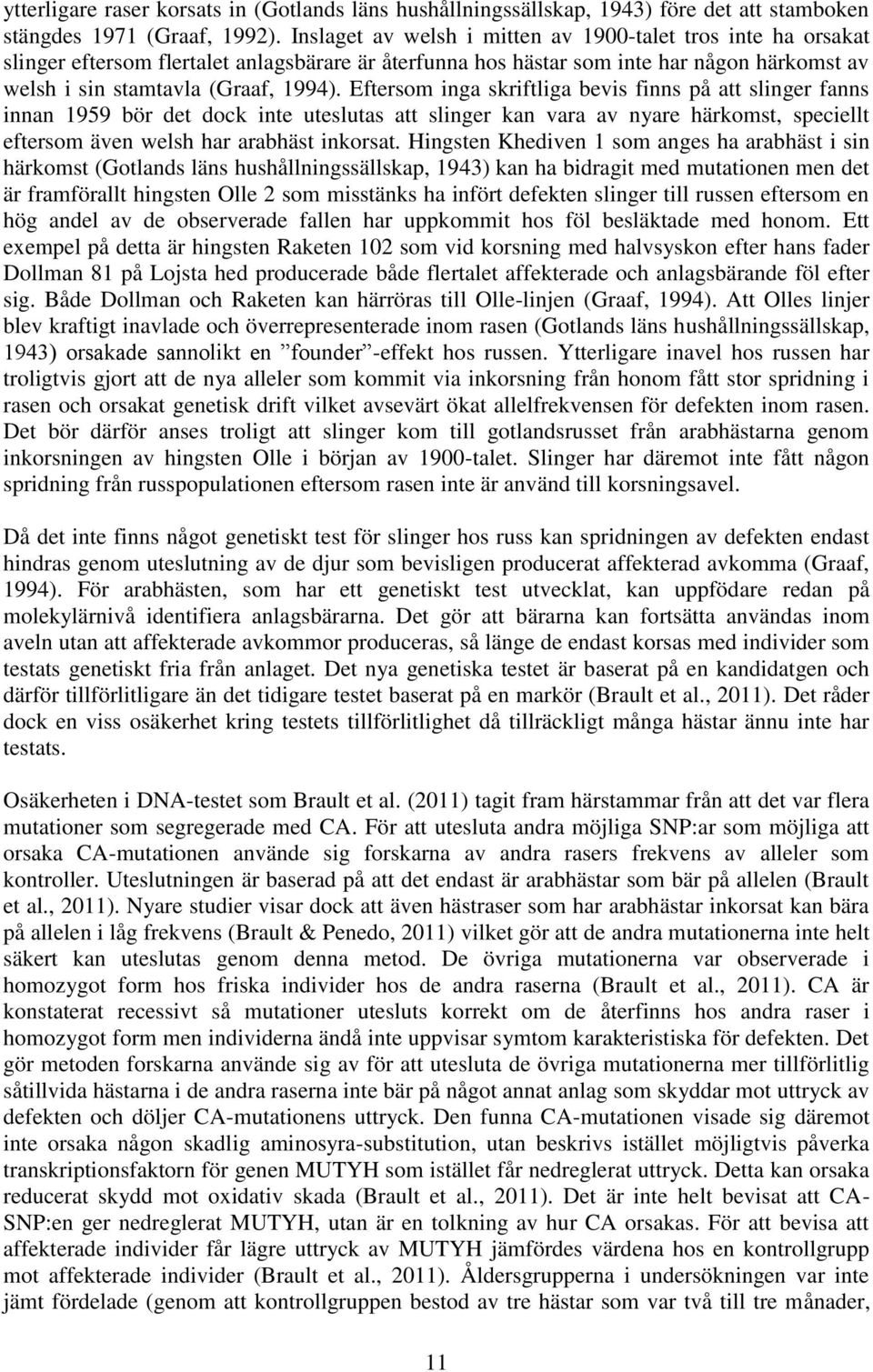 Eftersom inga skriftliga bevis finns på att slinger fanns innan 1959 bör det dock inte uteslutas att slinger kan vara av nyare härkomst, speciellt eftersom även welsh har arabhäst inkorsat.