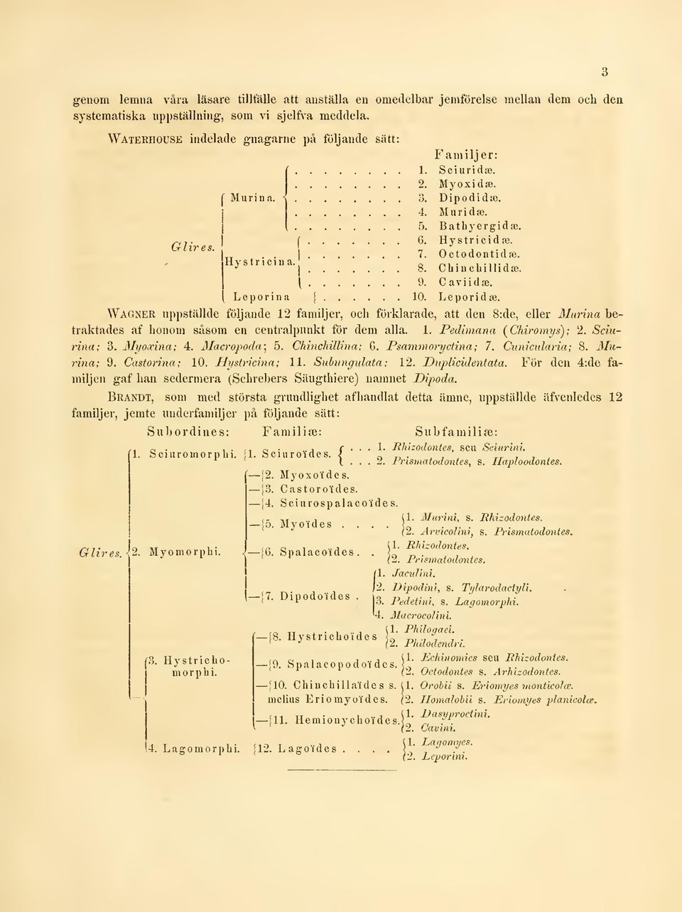 Leporidse. [ Wagner uppställde följande 12 familjer, och förklarade, att den 8:de, eller Murina betraktades af honom såsom en centralpunkt för dem alla. 1. Pedimana {Chiromys); 2. Sciurina; 3.
