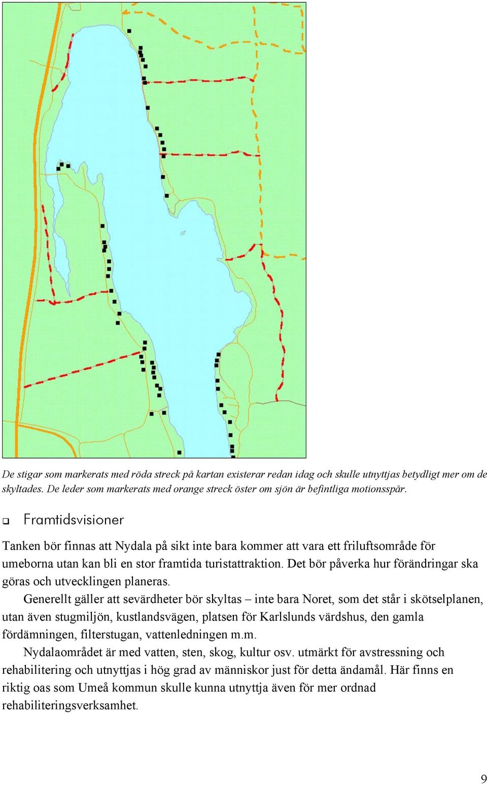 Framtidsvisioner Tanken bör finnas att Nydala på sikt inte bara kommer att vara ett friluftsområde för umeborna utan kan bli en stor framtida turistattraktion.