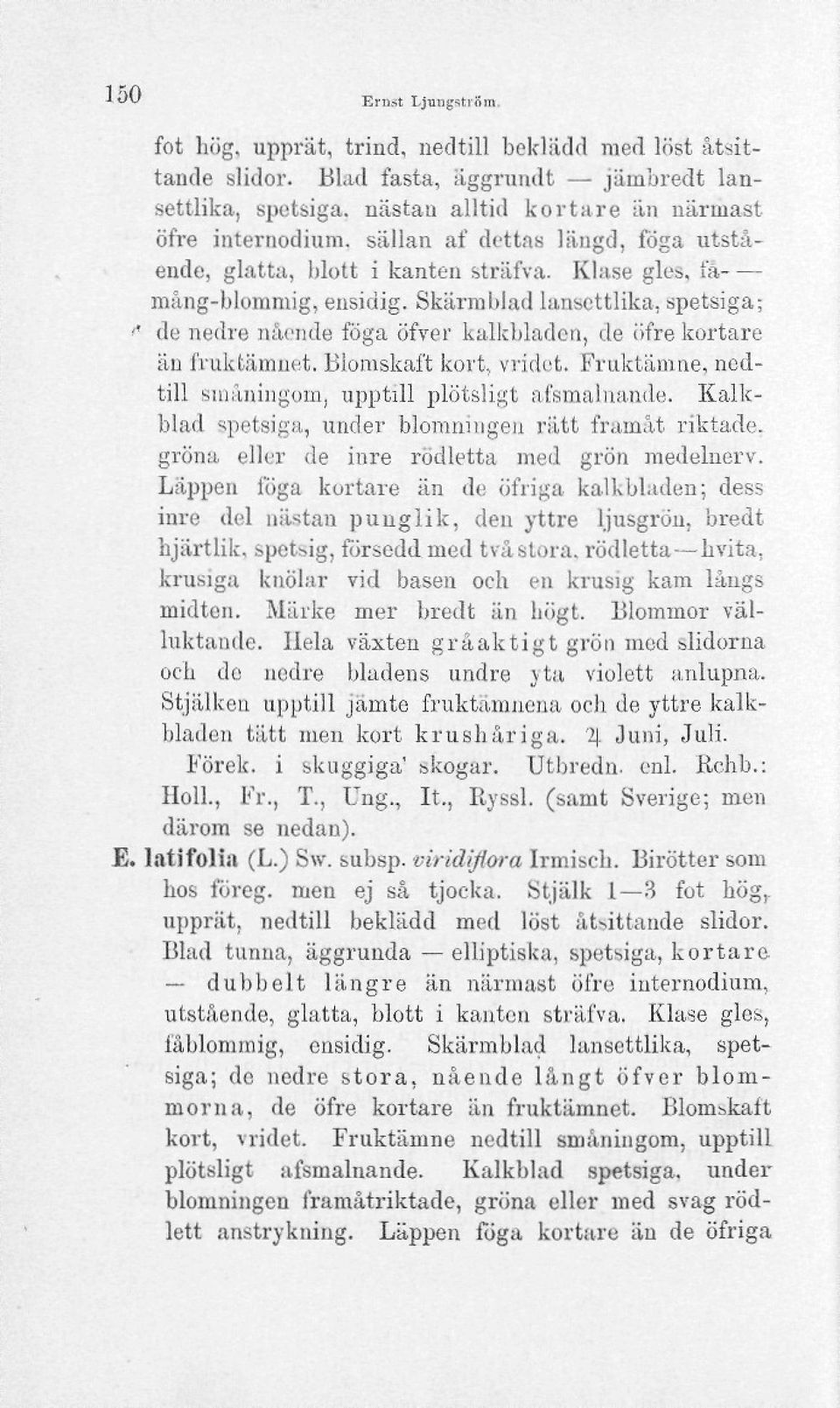 Skärmblad lanscttlika, spetsiga; <* de nedre nående föga öfver kalkbladen, de öfre kortare än fruktämnet. Blomskaft kort, vridet. Fruktämne, nedtill småningom, upptill plötsligt afsmalnan.de. Kalkblad spetsiga, under blomningen rätt framåt riktade, gröna eller de inre rödletta med grön medeluerv.