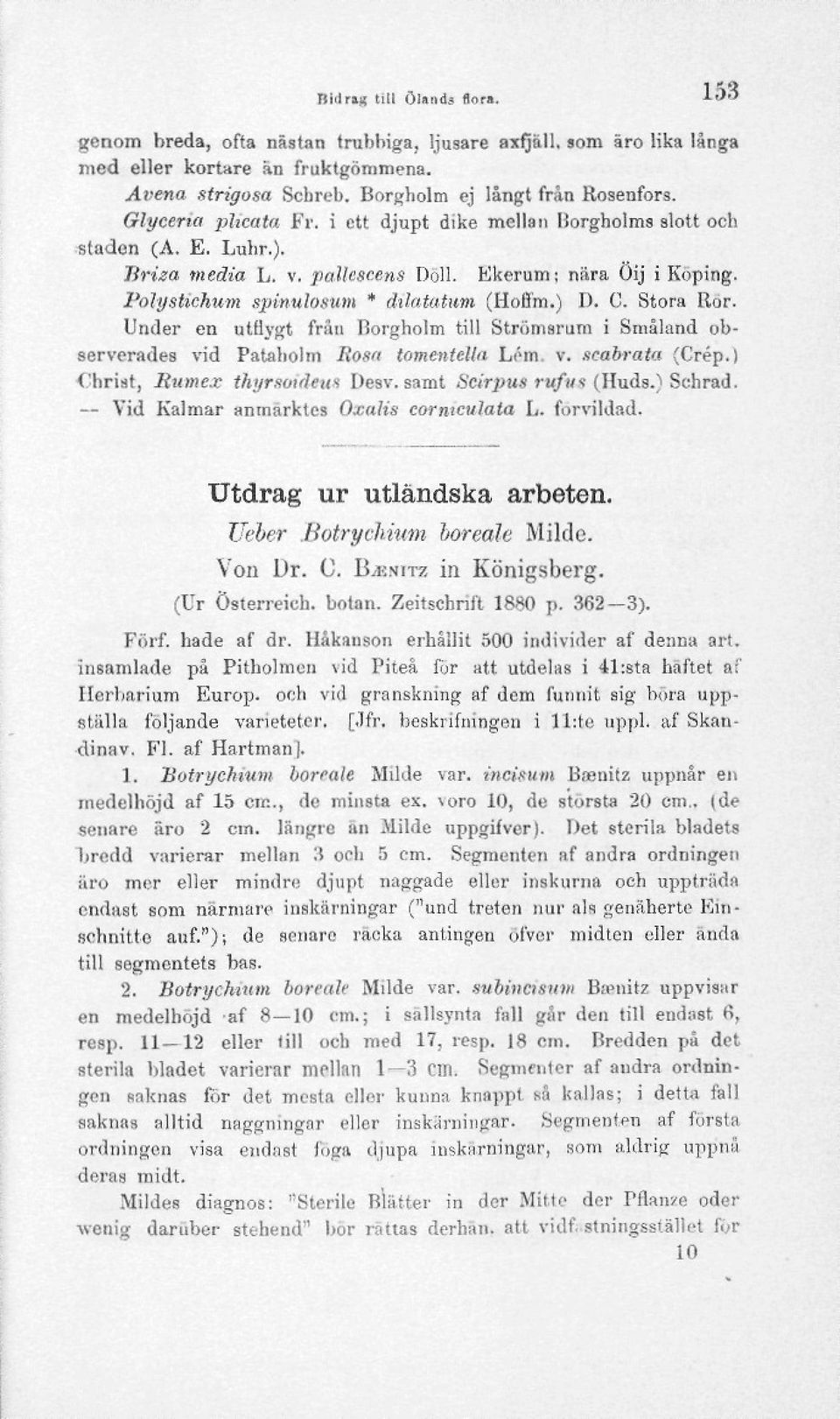 Stora Ror. Under en utdygt från Borgholm till Strömsrum i Småland observerades vid Pataholm Iios/i tomentelln Lém. v. seabrata (Crép.) Ohrist, Rumex thyrsoideua Desv. samt Scirpus rufut (Huds.