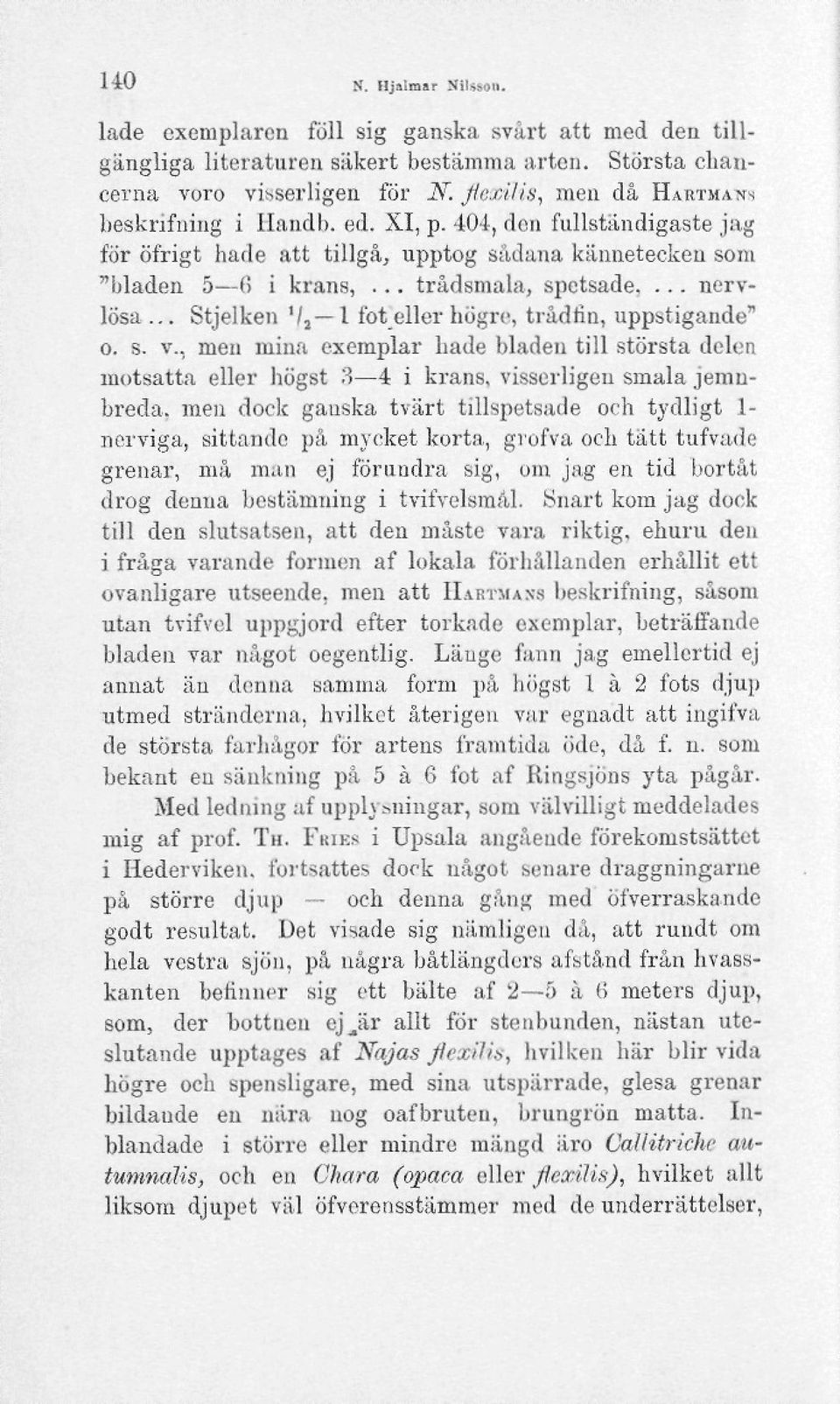 ... nervlösa... Stjelken '/, l fot eller högre, trådfin, uppstigande" o. s. v., men mina exemplar hade bladen till största delen motsatta eller högst 3 4 i krans, visserligen smala jemubreda.