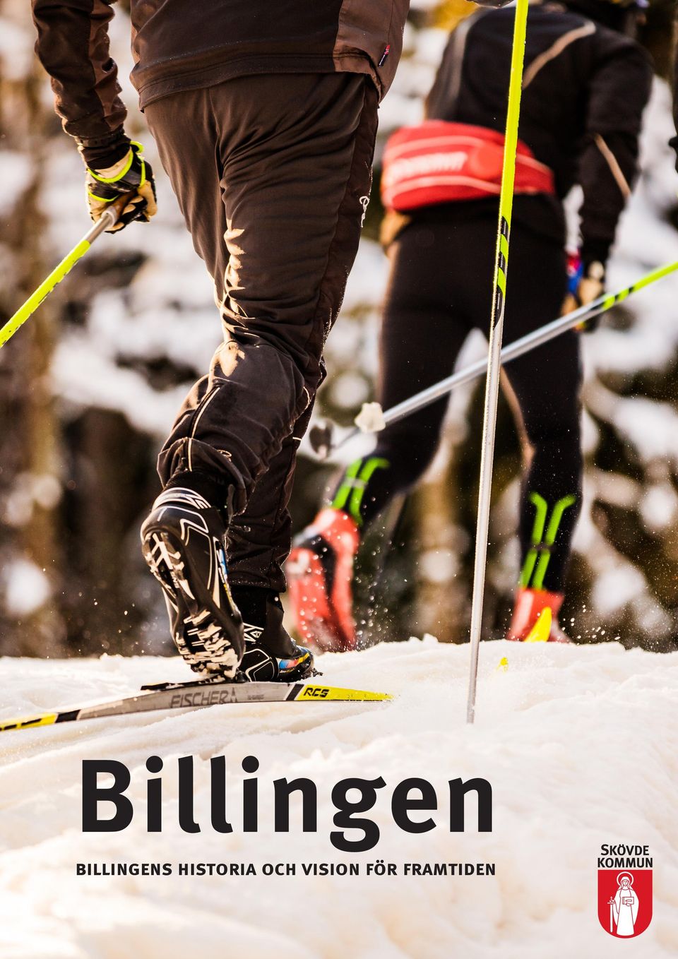 Billingen billingens