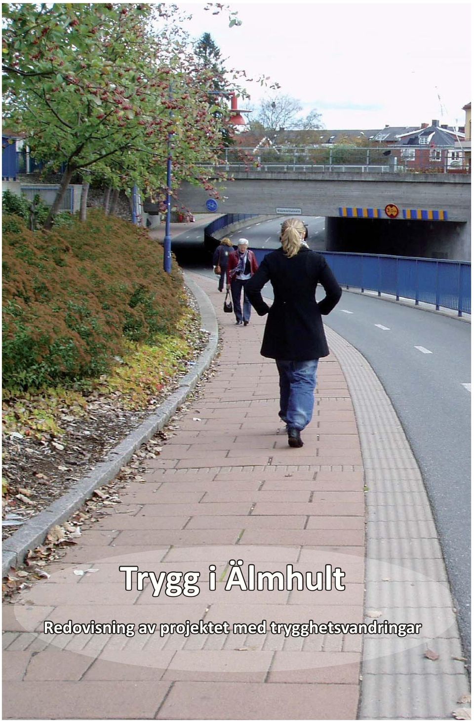 projektet med