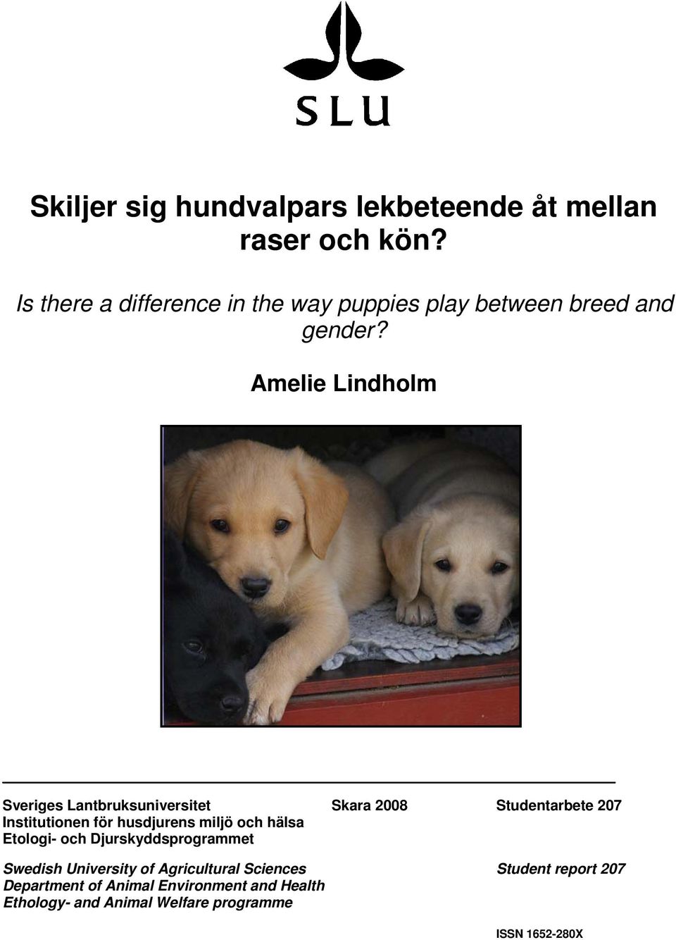 Amelie Lindholm Sveriges Lantbruksuniversitet Skara 2008 Studentarbete 207 Institutionen för husdjurens miljö