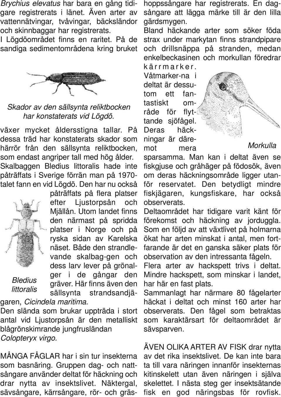 På dessa träd har konstaterats skador som härrör från den sällsynta reliktbocken, som endast angriper tall med hög ålder.