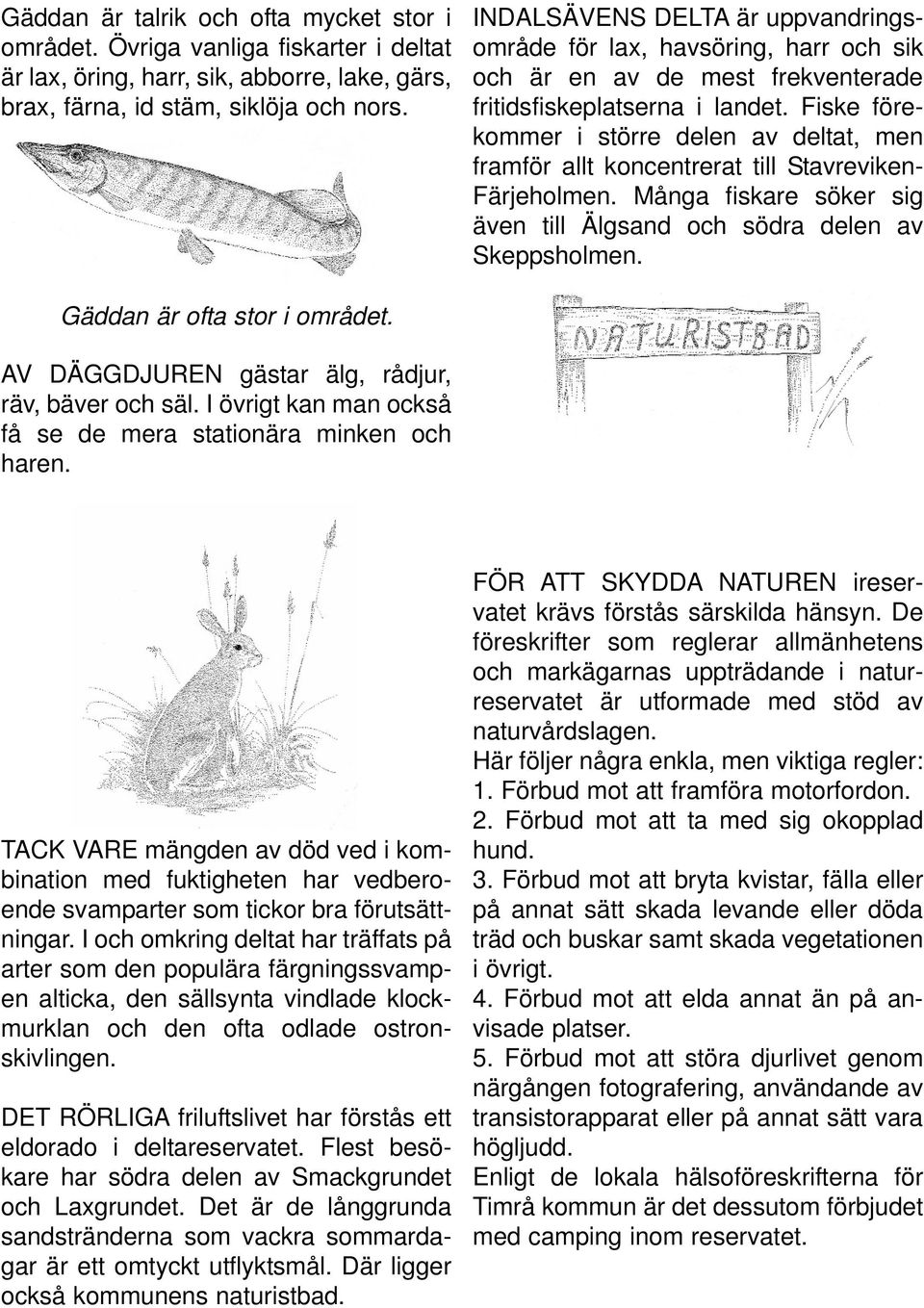 Fiske förekommer i större delen av deltat, men framför allt koncentrerat till Stavreviken- Färjeholmen. Många fiskare söker sig även till Älgsand och södra delen av Skeppsholmen.