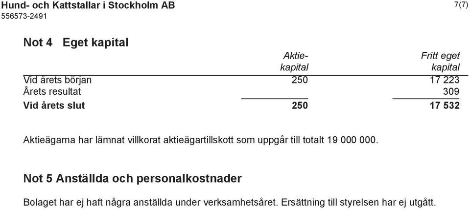 villkorat aktieägartillskott som uppgår till totalt 19 000 000.