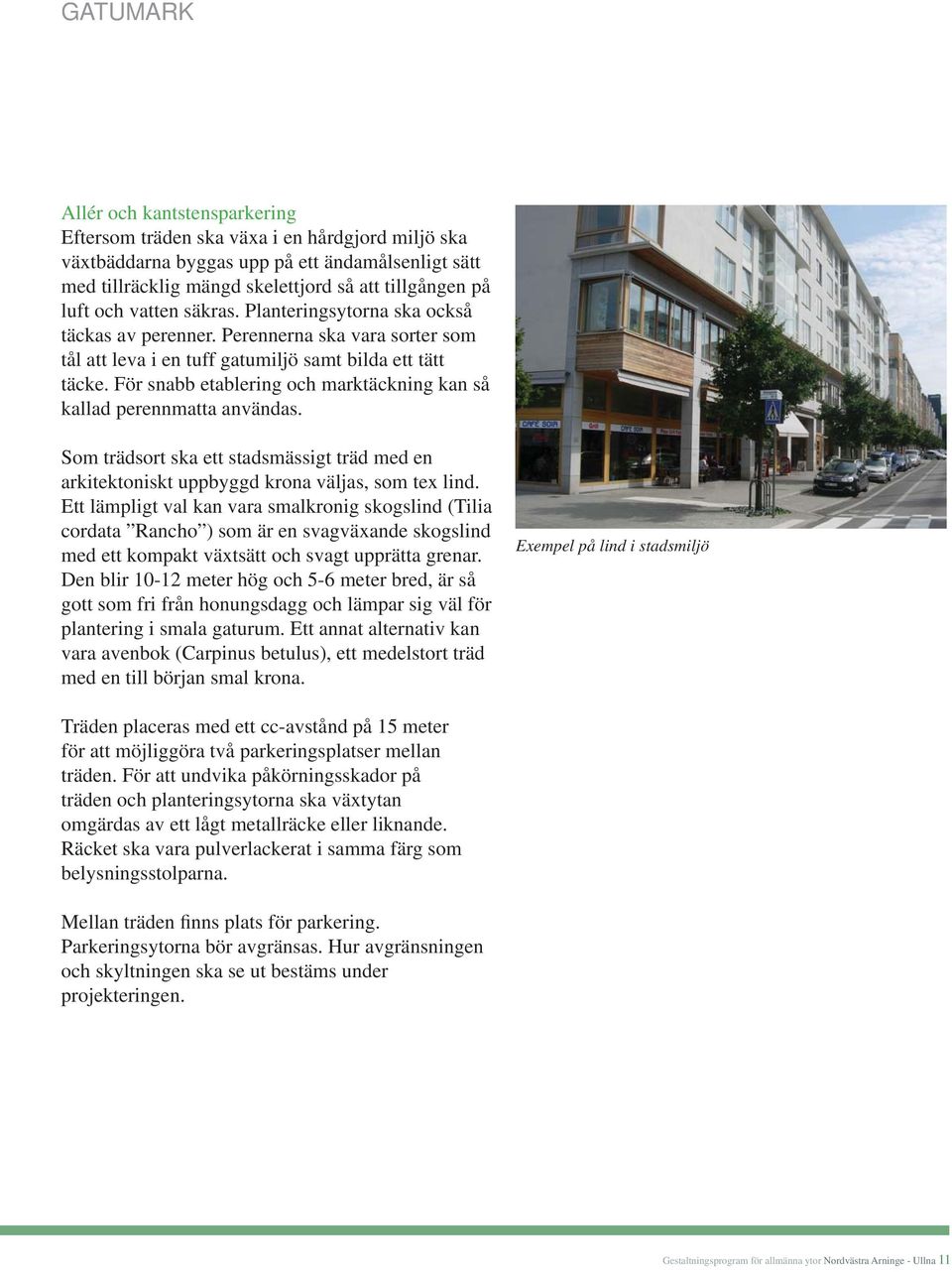 För snabb etablering och marktäckning kan så kallad perennmatta användas. Som trädsort ska ett stadsmässigt träd med en arkitektoniskt uppbyggd krona väljas, som tex lind.